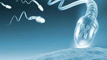 肺磨玻璃结节谢冬试管婴儿，肺磨玻璃结节还能生孩子吗！