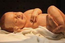 合肥试管婴儿费用一般是多少？